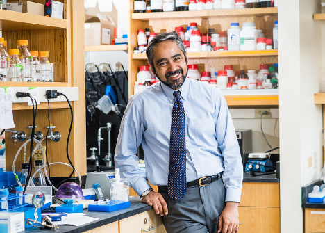 Interview: BU Professor Muhammad Zaman’s groundbreaking cancer research and philanthropy